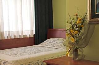 Отель Hotel Bojatours Lux Подгорица Двухместный номер с 1 кроватью или 2 отдельными кроватями-12